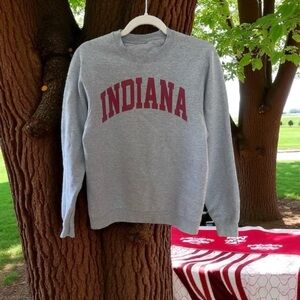 Indiana Gray Crew Neck Sweater